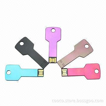 Key USB Flash Disks, 1 to 256GB Capacity Range, 5-year Warranty